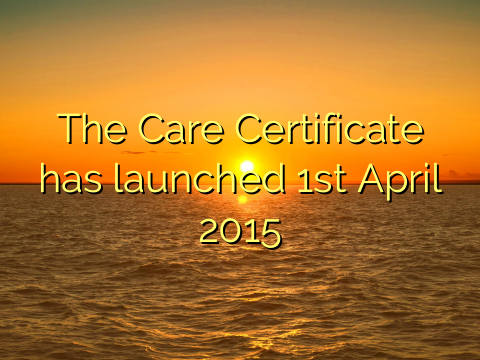 The Care Certificate has launched 1st April 2015