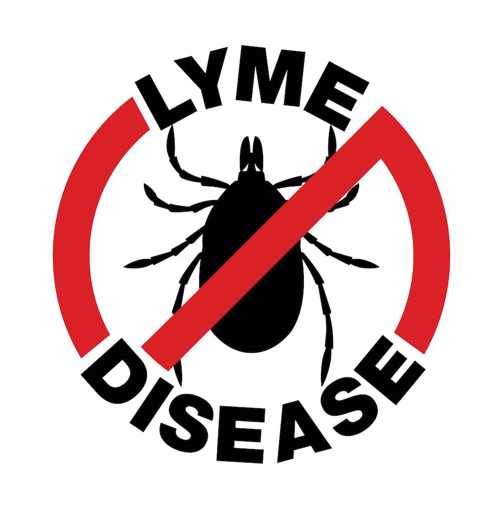 Lyme disease